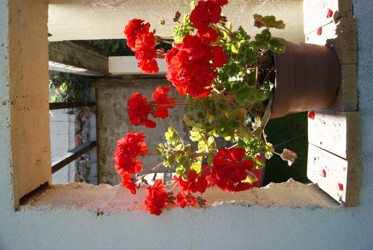 Bed and Breakfast 38 Friaudour Saint-Pardoux-lʼOrtigier Exteriér fotografie